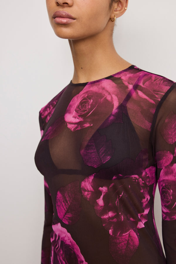 MESH MINI DRESS | DARK SPACED ROSES001