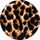Mini lucky leopard